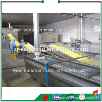 SP-I Vegetable & Fruits Processing Line for Quick Freezing